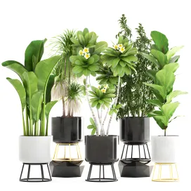 Plant pot black